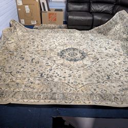 Surya Davaro 9x12 Area Rug In Excellent Used Condition 