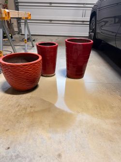 Plant Pots