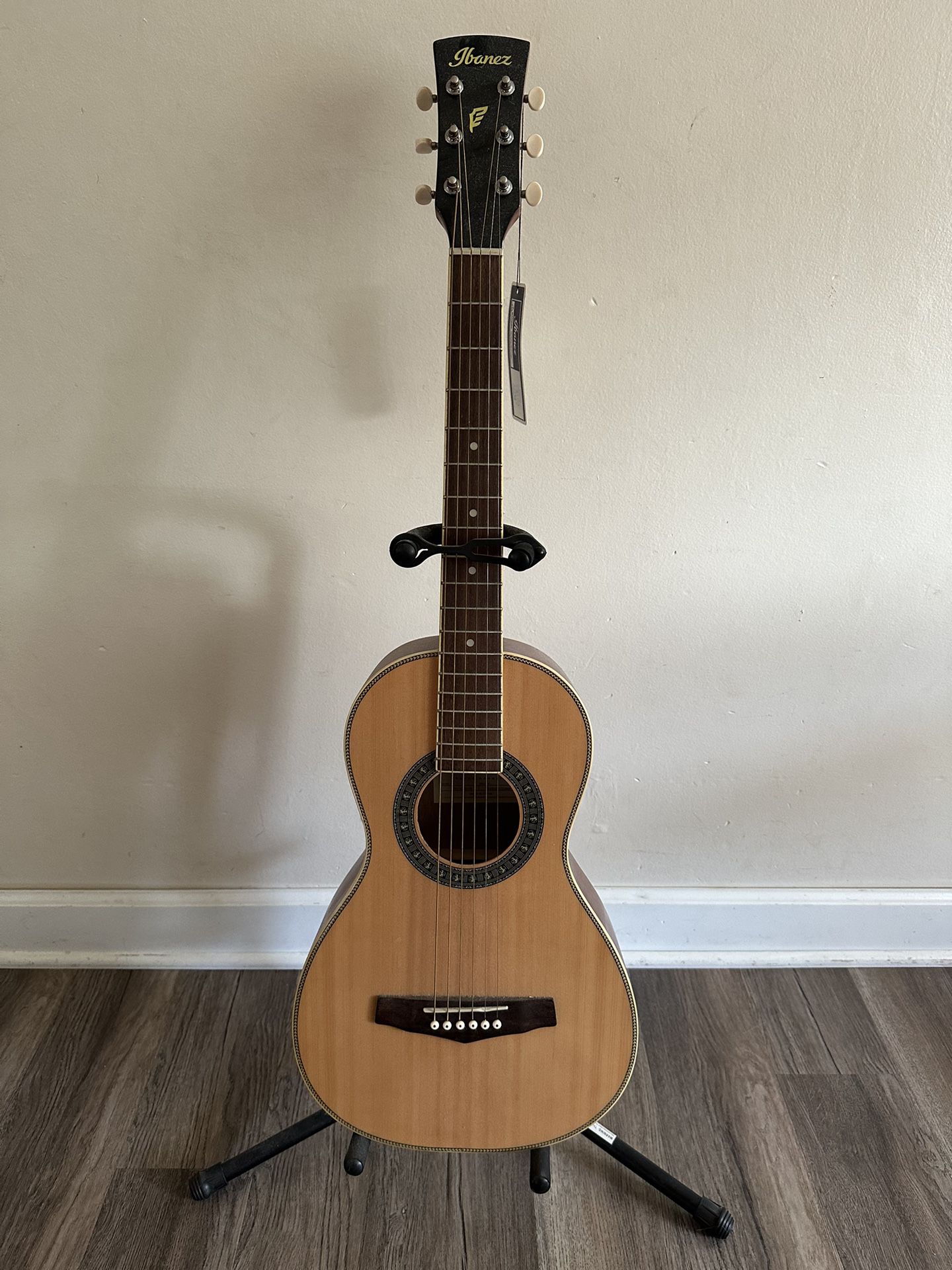 Ibanez PN-1 Acoustic Guitar