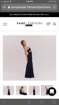 Fame and Partners size 4 the ZYRA dress NWT