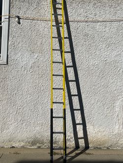 WERNER Straight Ladder 12ft