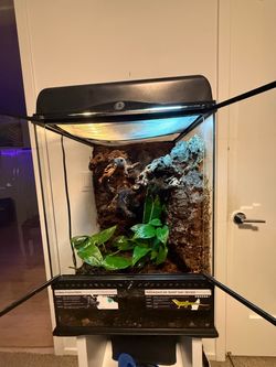Bioactive  18x18x24 Glass Reptile Terrarium