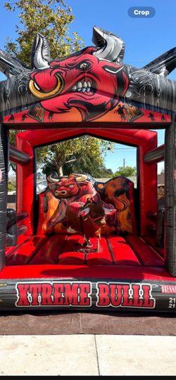 Bull and waterslides
