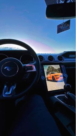 Mustang screen