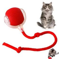 Automatic Rolling Ball Smart Cat Dog Toy Electric Pet Self-moving Kitten Game US