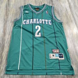 Charlotte Hornets Johnson Jersey