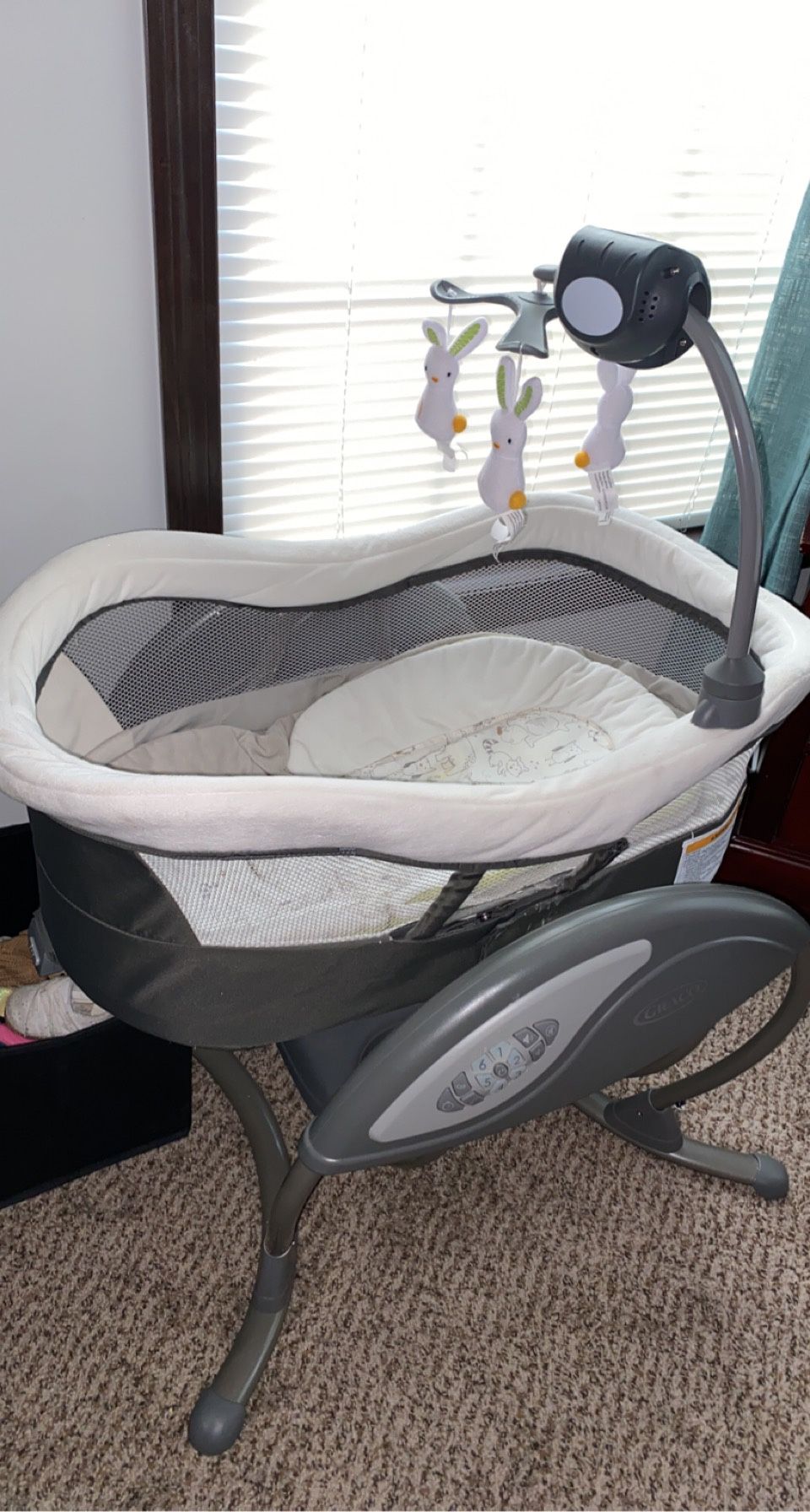 Rocking Bassinet