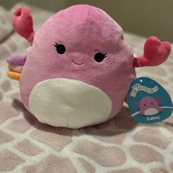 Original Cailey Pink Crab Squishmallow 8”🦀 💞