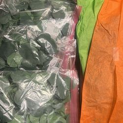 Eucalyptus Strands 