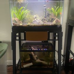 10 gallon And 5 Gallon Fish Tanks W Stand (PICK UP ONLY)