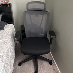 Ergo Chair Pro