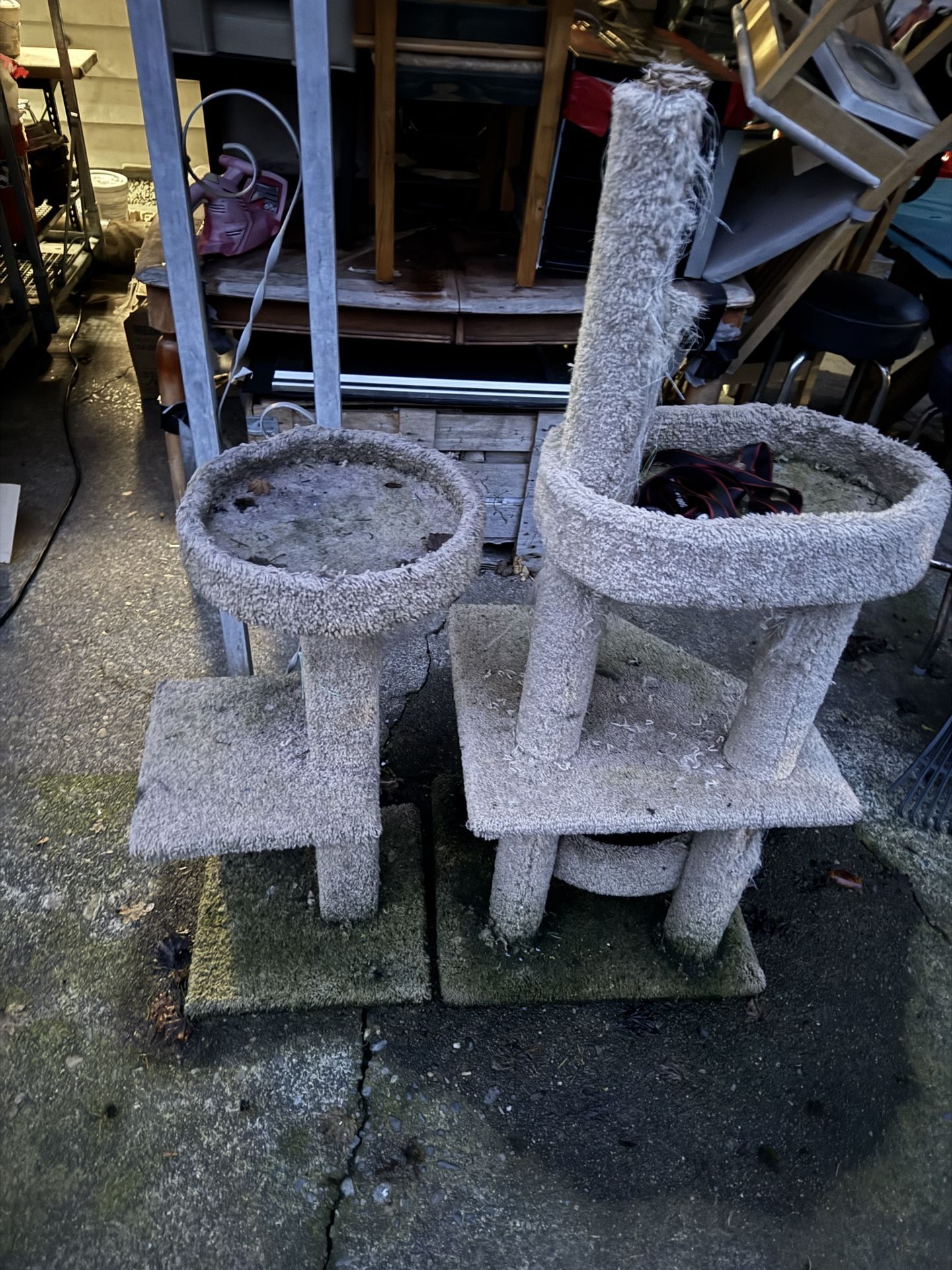 Free Cat Climbing Tree Scratch Thing