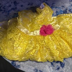 Disney Dress 