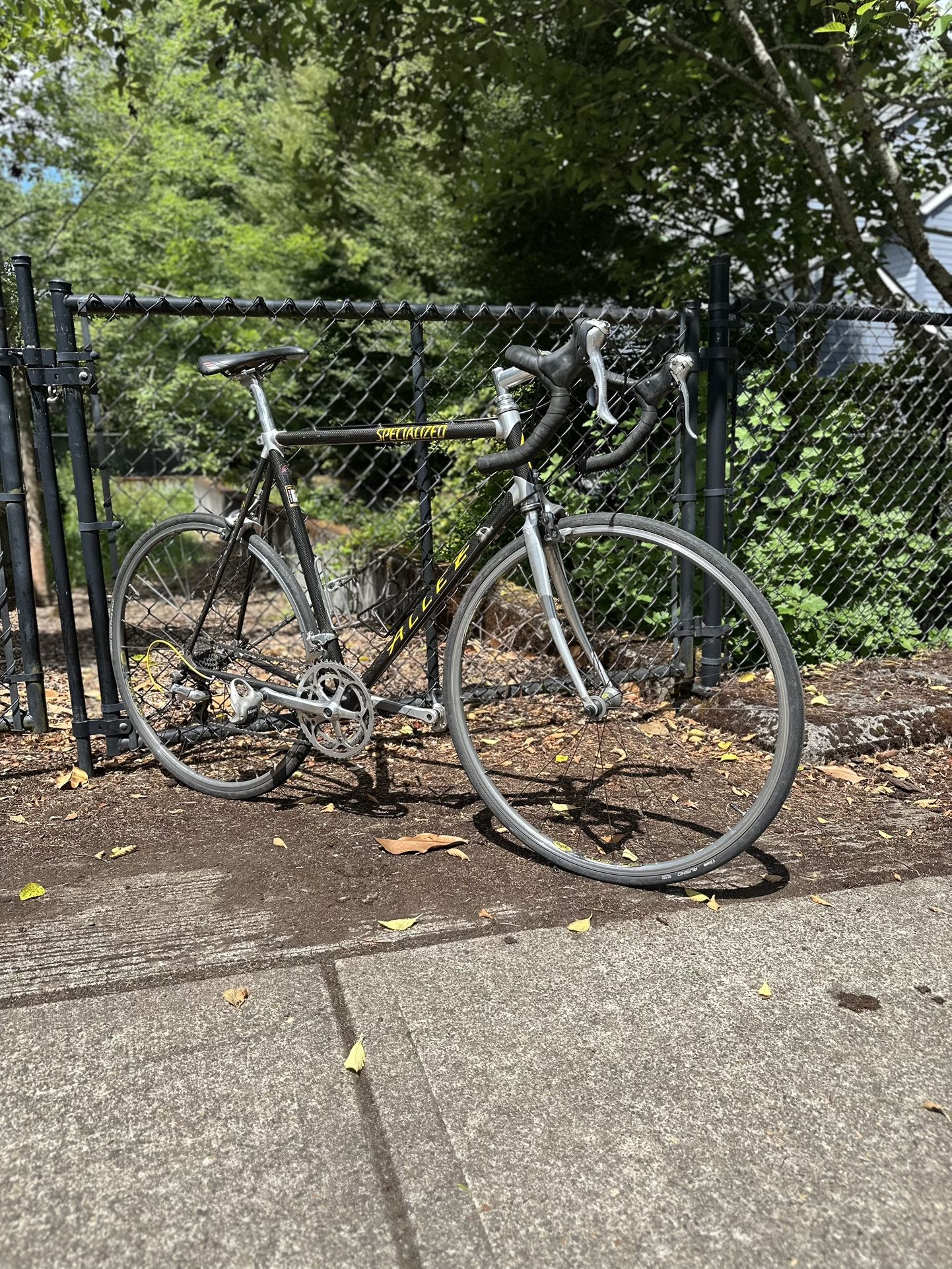 Specialized Road Bike