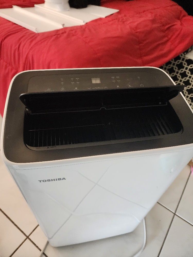 Portable AC with Remote Control