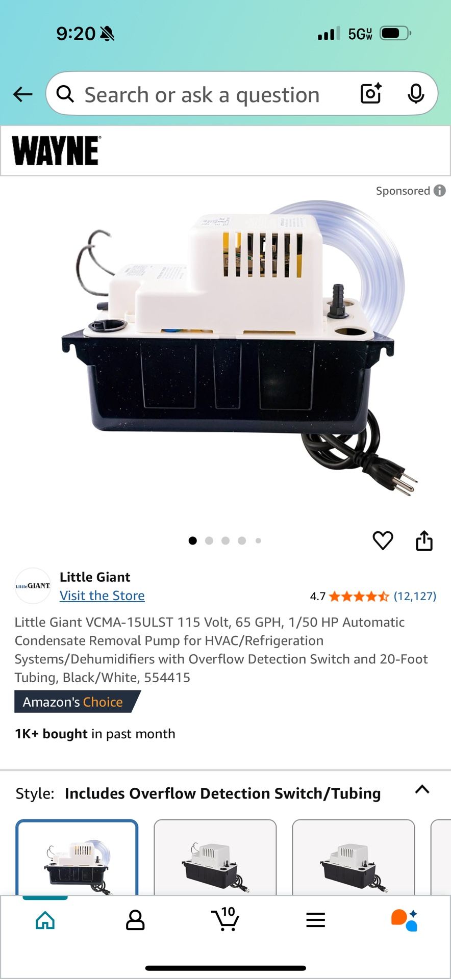 Little Giant