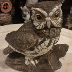 Owl Decor