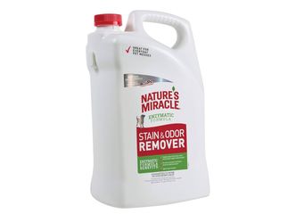 Stain & Odor Remover 