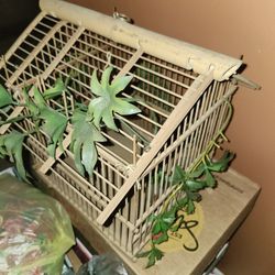 Vintage Birdcage 