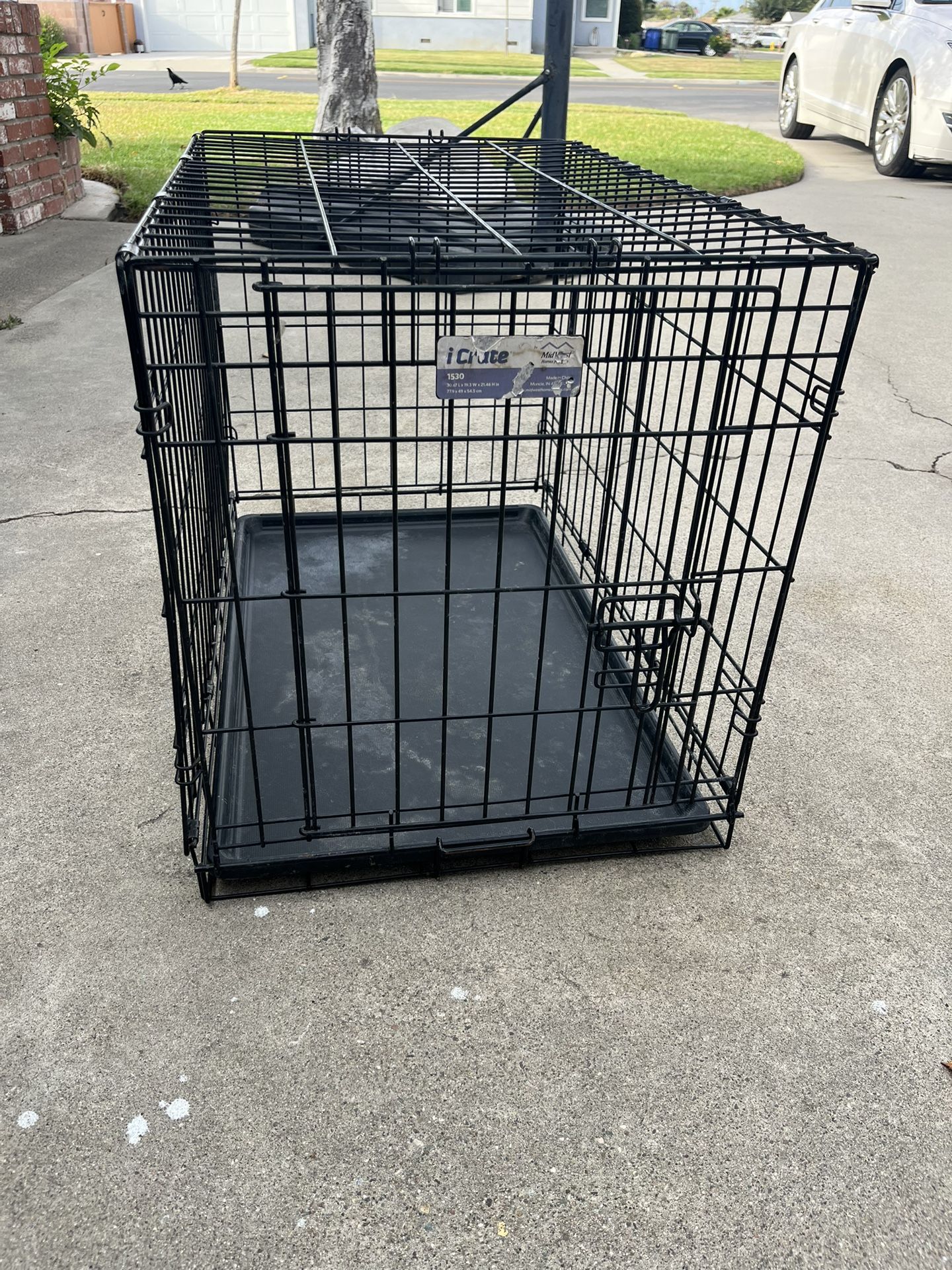 Dog Crate