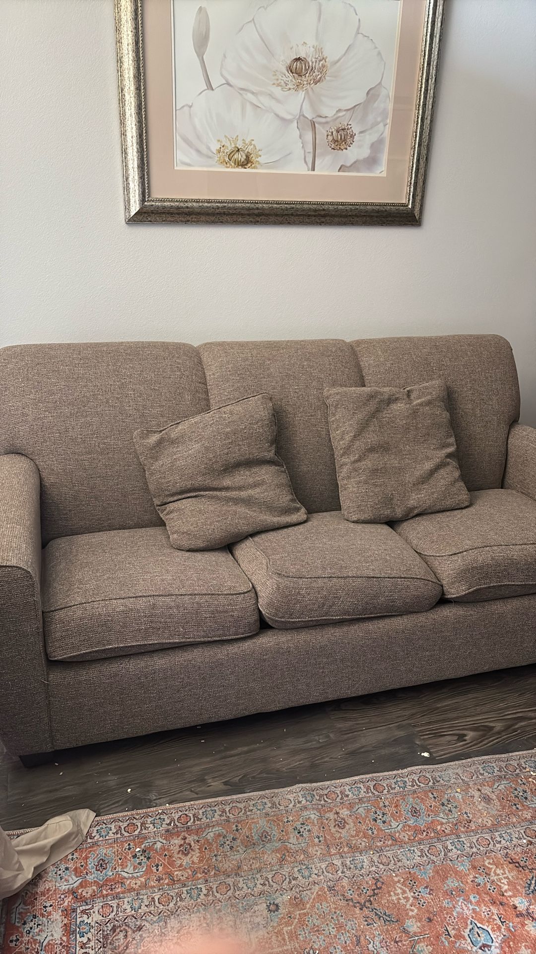 Sleeper Sofa