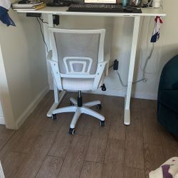 48”x24” White Electric Standing Desk