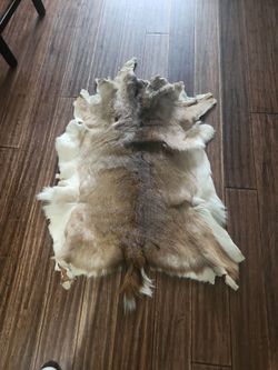 Deer skin   nice