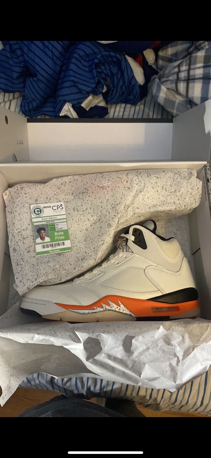 Shattered Backboard 5