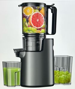Cold Press Juicer with Wide Feed Chute