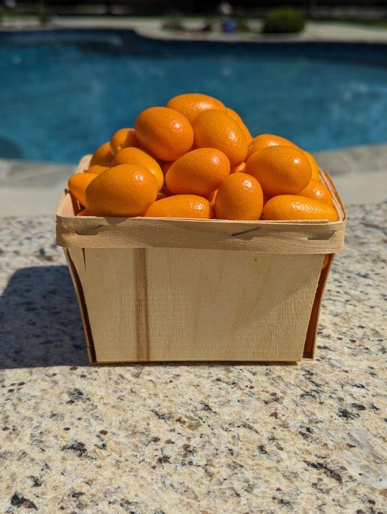 Kumquats Picked Daily Fresh. Glendora Area 