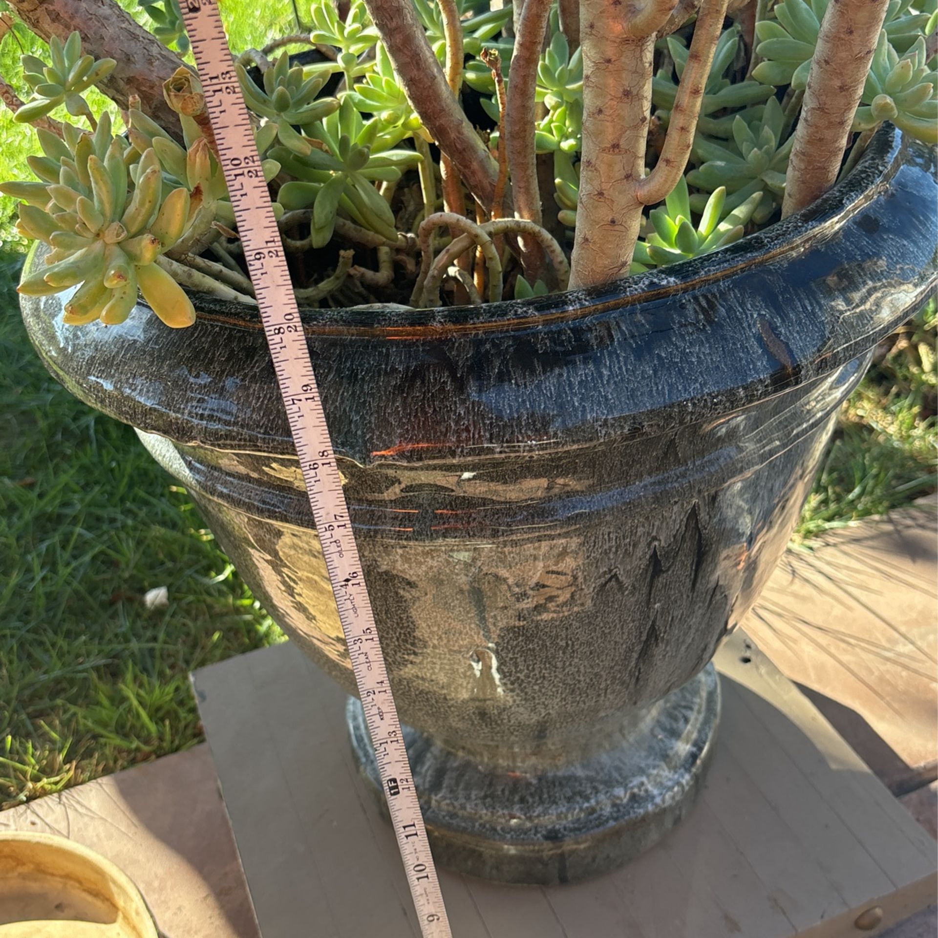 Flower Pots
