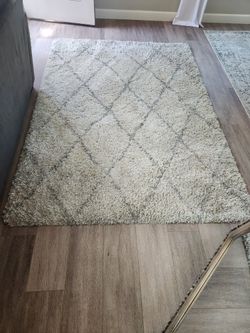5 X 7 Rug