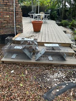 Animal traps  6