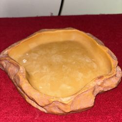 Exo Terra Reptile 🦎 Food Tray 