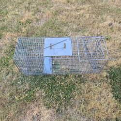 Raccoon/squirrel cage