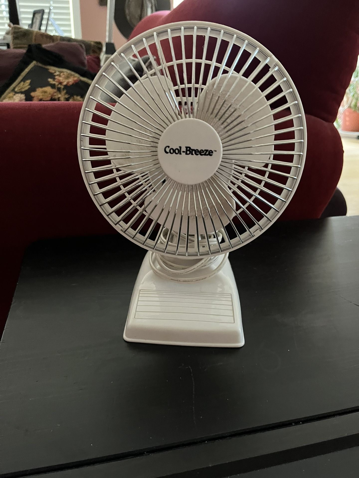 Small Fan