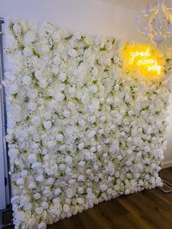 Flower Floral White Backdrop with Stand and light