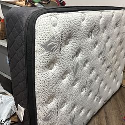 Full size