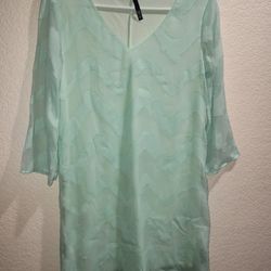 Women's Extra Long Blouse/Short Dress?