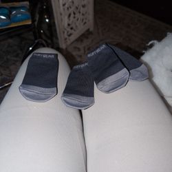 Dog Socks 