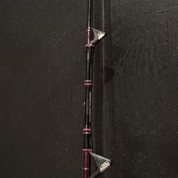 Custom Deep Sea Fishing Rod-Whopper Stopper Mini