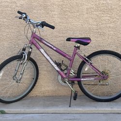 Road Master Teen Bicycle 24”