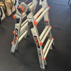 Little Giant MULTI 13 Ladder 