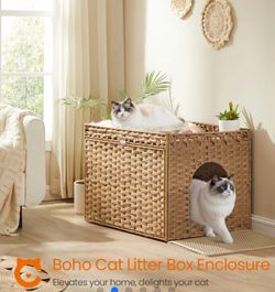 Cat box