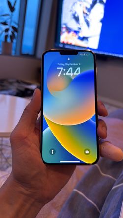 iPhone  Pro Max 13 Back is cracked