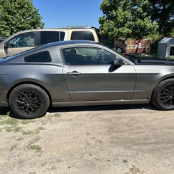 2014 Mustang 