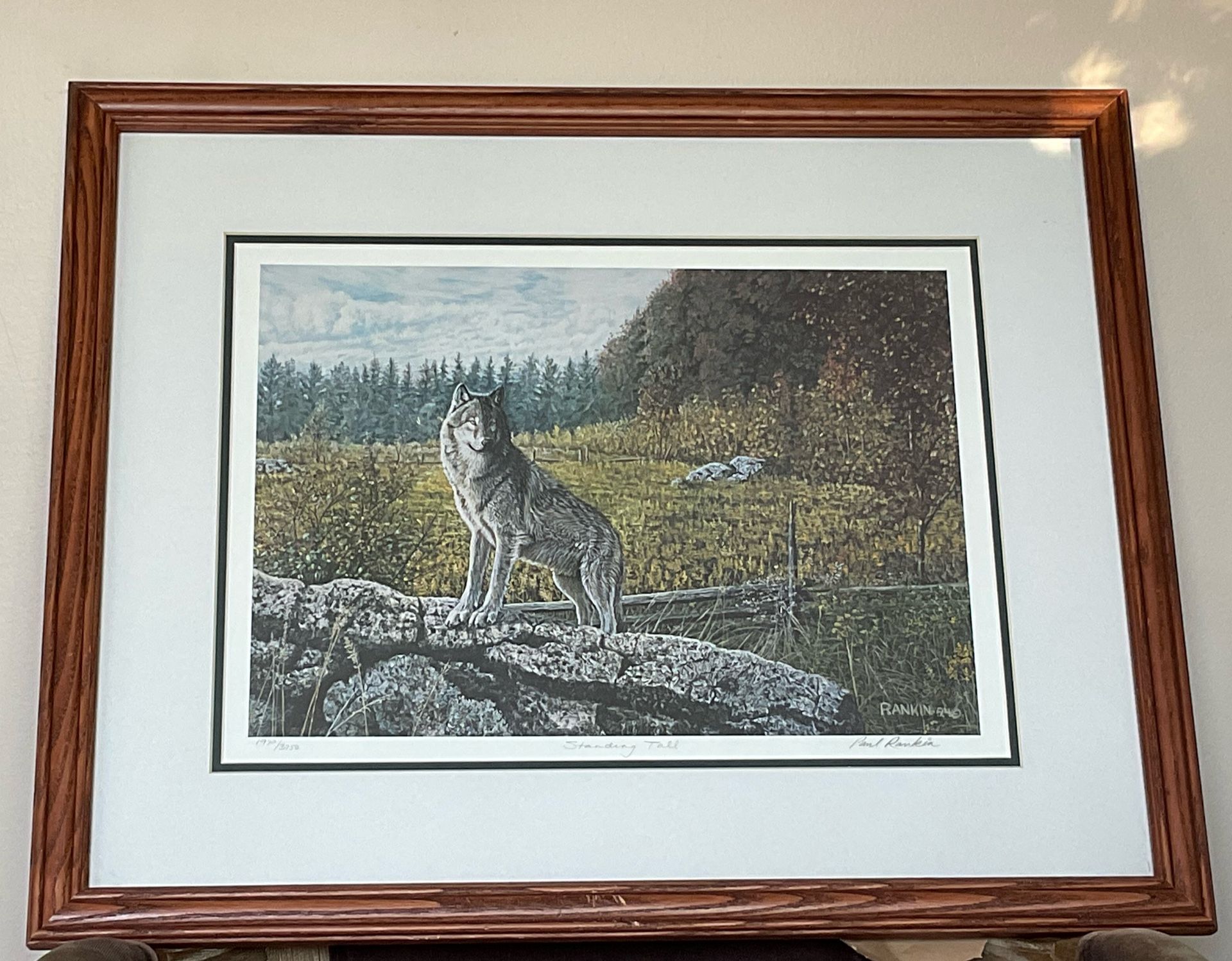 Canadian Artist Paul Rankin Framed & Matted Limited Edition Prints “Family Pursuit” & “Standing Tall - both Pieces featuring Wolves in the Wilderness