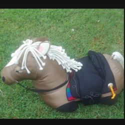 Infant To Toddler Training To Walk Horsey $25.00 Cash Only (Serious Buyers) First Come First Served 