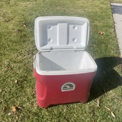 Cooler / Ice Chest 