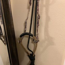 Horse Tack